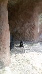 ZOO Praha 5.C 2016/17