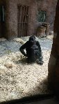 ZOO Praha 5.C 2016/17