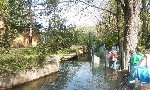 ZOO Praha 5.D 2016/17