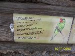ZOO Praha 6.A 2014/15