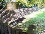 ZOO Praha 6.A 2014/15