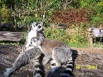 ZOO Praha 6.A 2014/15