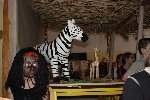 Den Afriky 3.D 2008/09