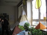 Den Afriky 7.A 2008/09