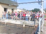 Čistička, útulek 4.D 2007/08