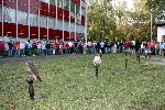 Draví ptáci 2008/09