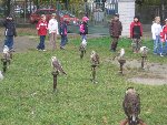 Draví ptáci 2.B 2008/09