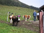 Švýcarsko 2012/13