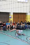 Vánoční volejbal 2011/12