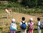 Výlet ZOO Plzeň 1.C 2007/08
