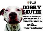 Dobrý skutek ve škole