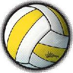 Vánoční turnaj ve volejbalu 2012/13